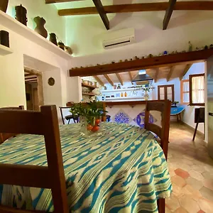 Apartment Puerto De Pollensa And Apartments, With Private Mountain Ideal For Runners, Trailers,near Approximately 5 Minutes Walking, Unique Experience In A Ullal Old Typical Mallorca House With Private Mountain And Near To The Beac